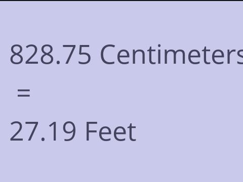 828.75 CM TO FEET