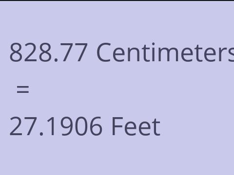 828.77 CM TO FEET