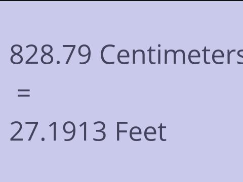 828.79 CM TO FEET