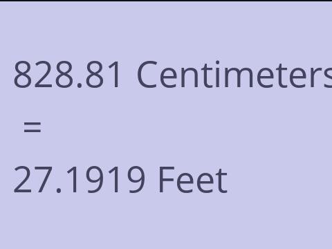 828.81 CM TO FEET