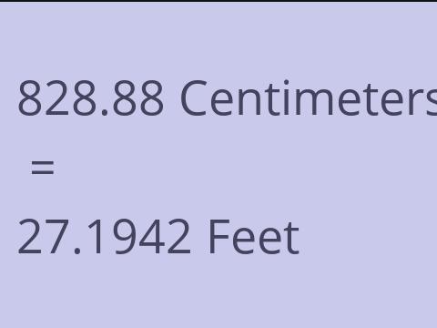 828.88 CM TO FEET