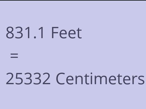 831.1 FEET TO CM