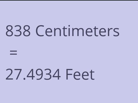 838 CM TO FEET