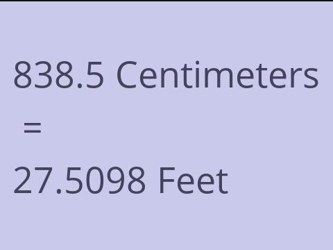 838.5 CM TO FEET