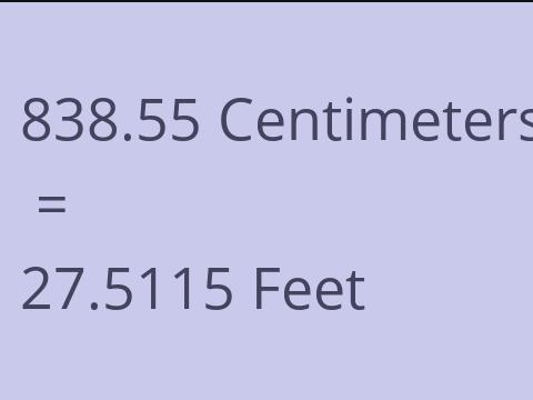 838.55 CM TO FEET