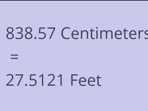 838.57 CM TO FEET