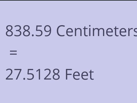 838.59 CM TO FEET