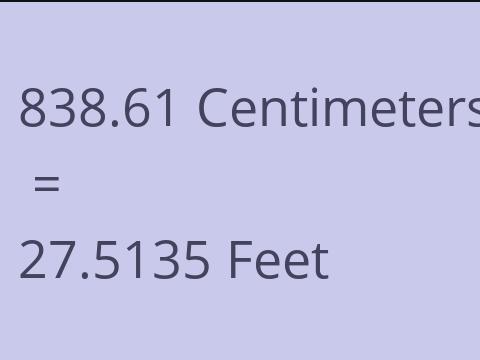 838.61 CM TO FEET