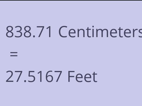 838.71 CM TO FEET