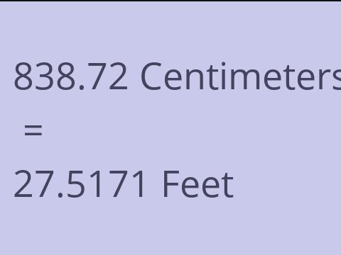 838.72 CM TO FEET