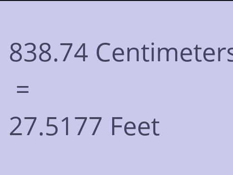 838.74 CM TO FEET