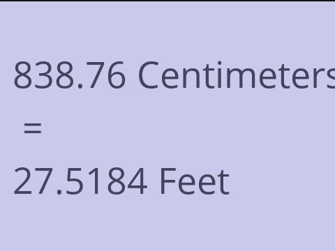 838.76 CM TO FEET