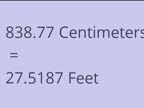 838.77 CM TO FEET