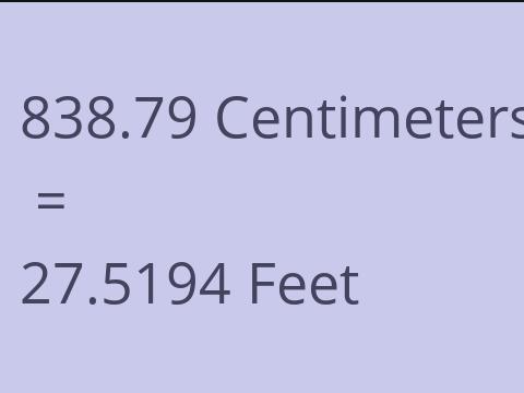 838.79 CM TO FEET