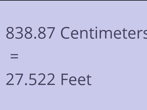 838.87 CM TO FEET