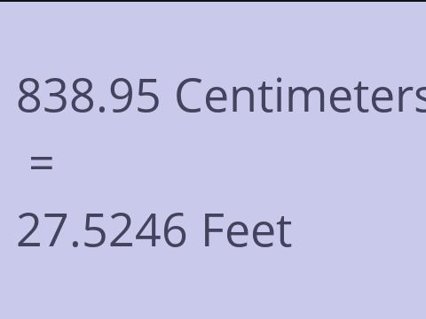 838.95 CM TO FEET