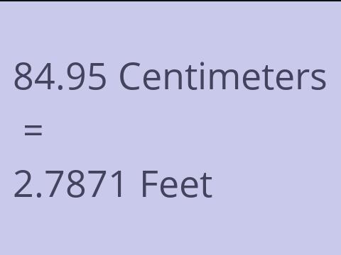 84.95 CM TO FEET