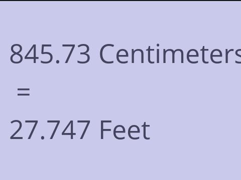 845.73 CM TO FEET