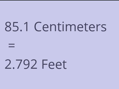 85.1 CM TO FEET