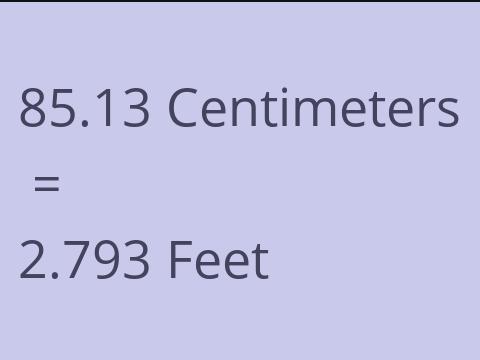 85.13 CM TO FEET