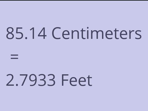 85.14 CM TO FEET