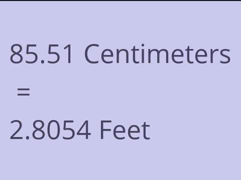 85.51 CM TO FEET