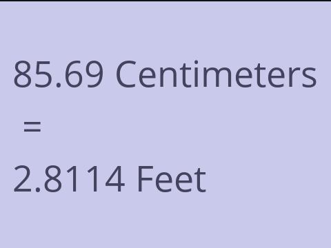 85.69 CM TO FEET