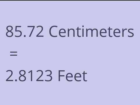 85.72 CM TO FEET