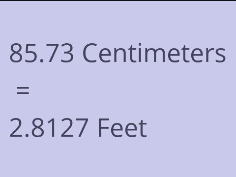 85.73 CM TO FEET