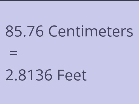 85.76 CM TO FEET