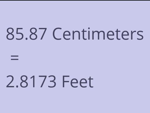 85.87 CM TO FEET