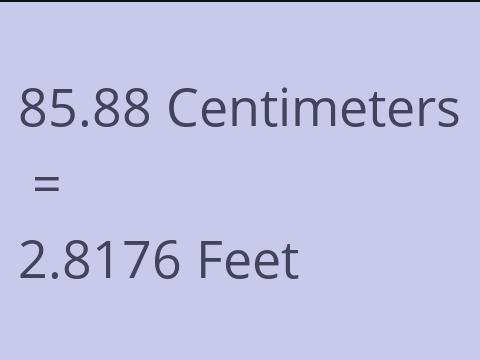 85.88 CM TO FEET