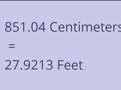 851.04 CM TO FEET