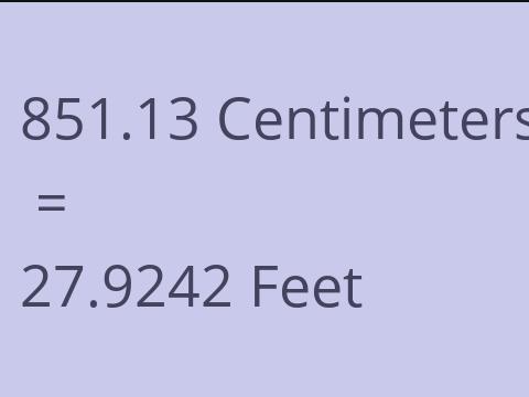 851.13 CM TO FEET