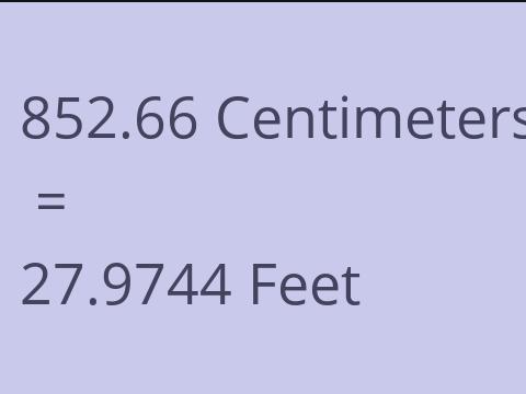 852.66 CM TO FEET