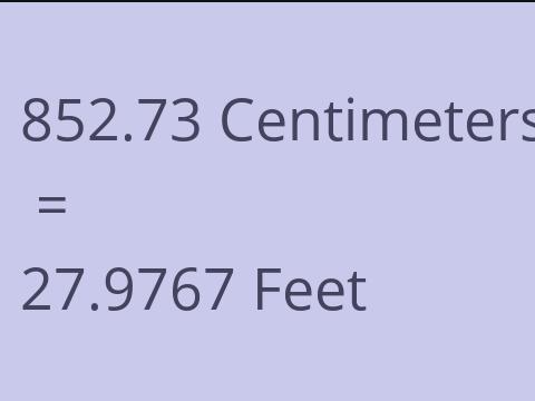 852.73 CM TO FEET