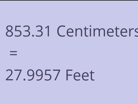 853.31 CM TO FEET