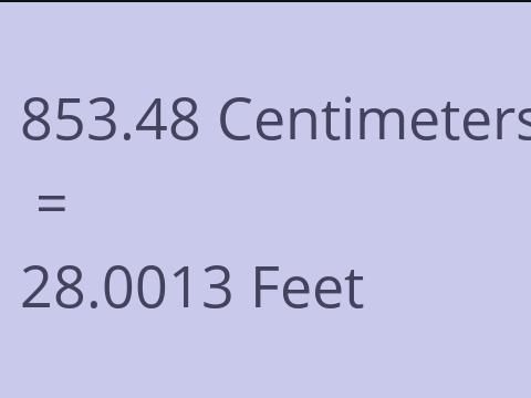 853.48 CM TO FEET