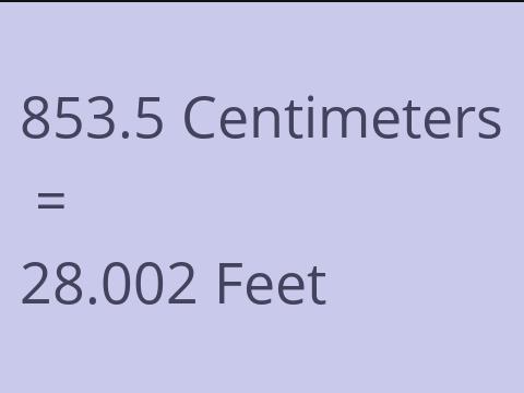 853.5 CM TO FEET