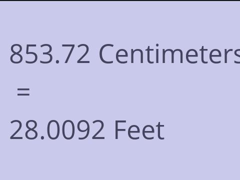 853.72 CM TO FEET