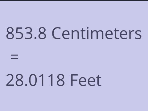 853.8 CM TO FEET