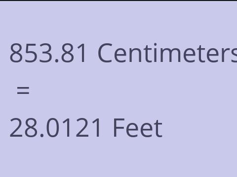 853.81 CM TO FEET