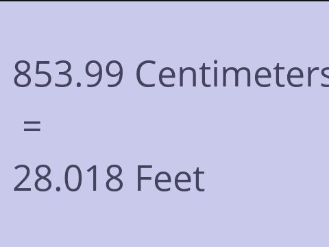 853.99 CM TO FEET