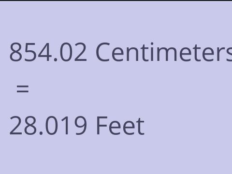 854.02 CM TO FEET