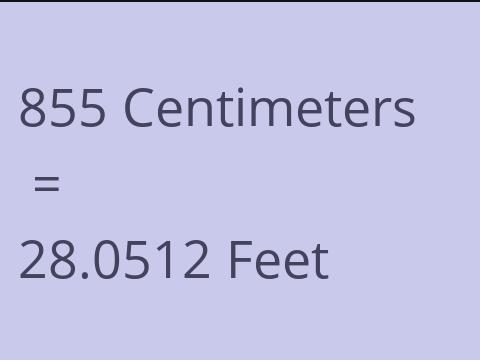 855 CM TO FEET