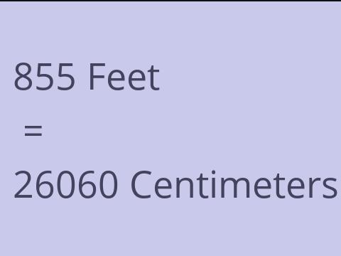 855 FEET TO CM