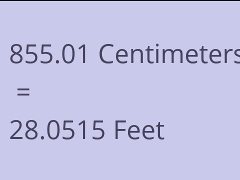 855.01 CM TO FEET