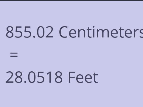 855.02 CM TO FEET