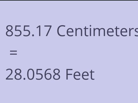 855.17 CM TO FEET