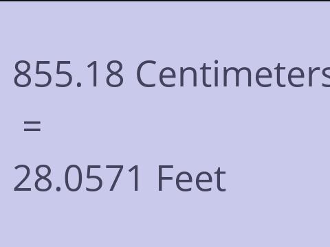 855.18 CM TO FEET